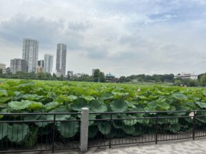 不忍池